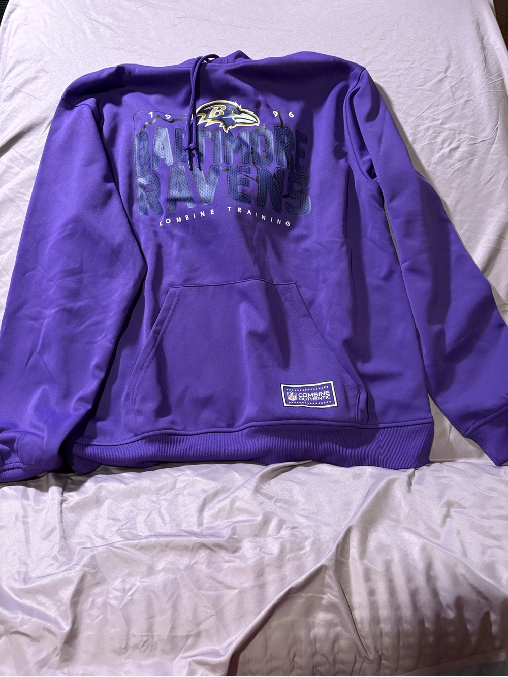 NFL Baltimore Ravens Purple Pullover Hoodie - Kids